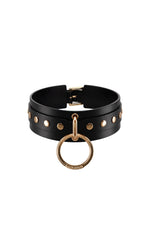 Amy Collar