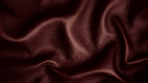 Cuir 2